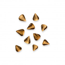 Aristolochia fimbriata