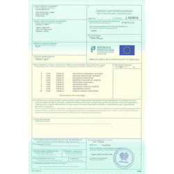 Phytosanitary certificate