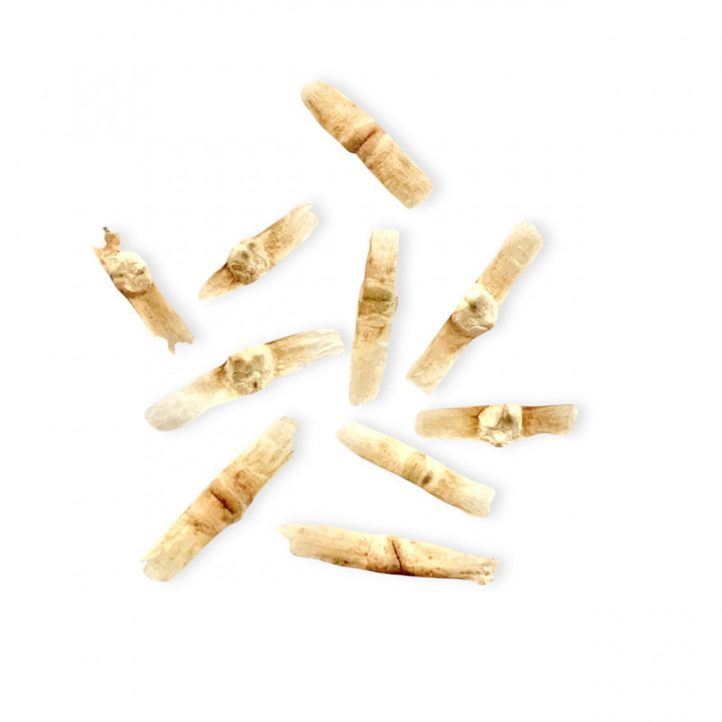 Stereospermum variabile